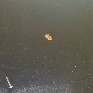 Solid gold threadless stud